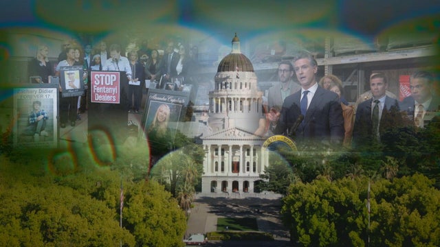 cap-banner.jpg 