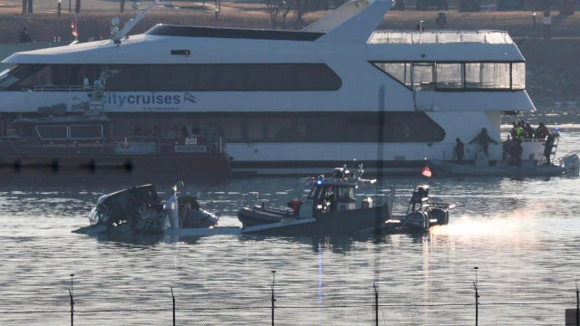 Emergency Crews Respond To Aircraft Crash Near Reagan National Airport 