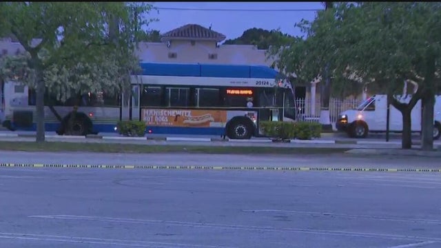 bus0330.jpg 