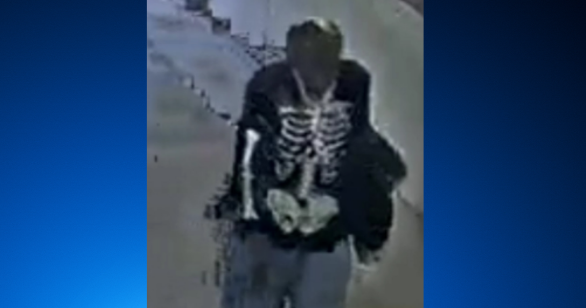 CPD seek man who sexually abused 2 girls at Dearborn Park playground 